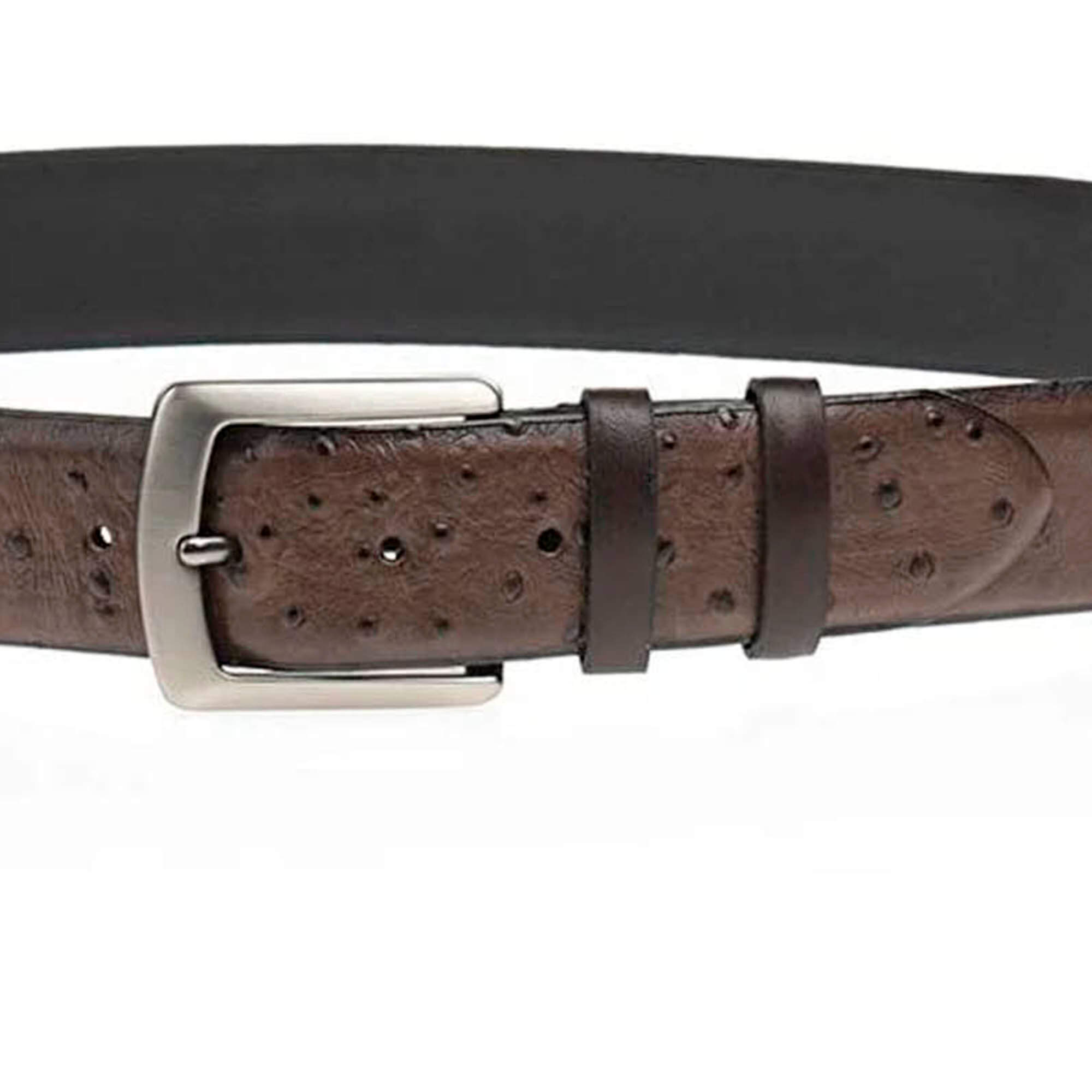 Buy Brown Ostrich Belt For Men Embossed Leather - LeatherBeltsOnline.com