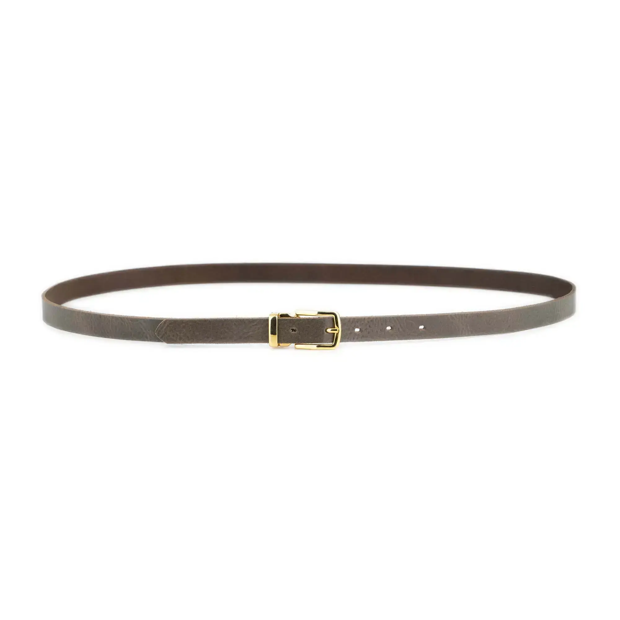 Taupe Belt With Gold Rectangle Buckle 2 0 cm 3